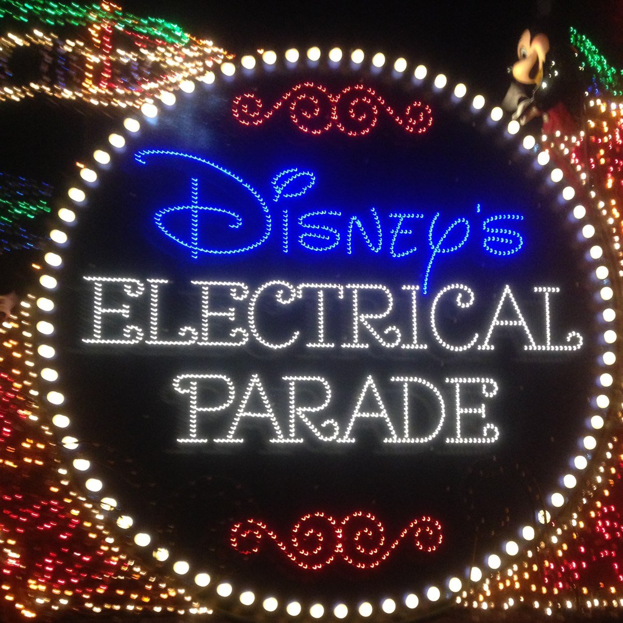 disneyfan417's profile picture. Tweeting all things Disney all the time.