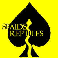 Father Son Reptile Business/Hobby, Specializing in Ball Pythons