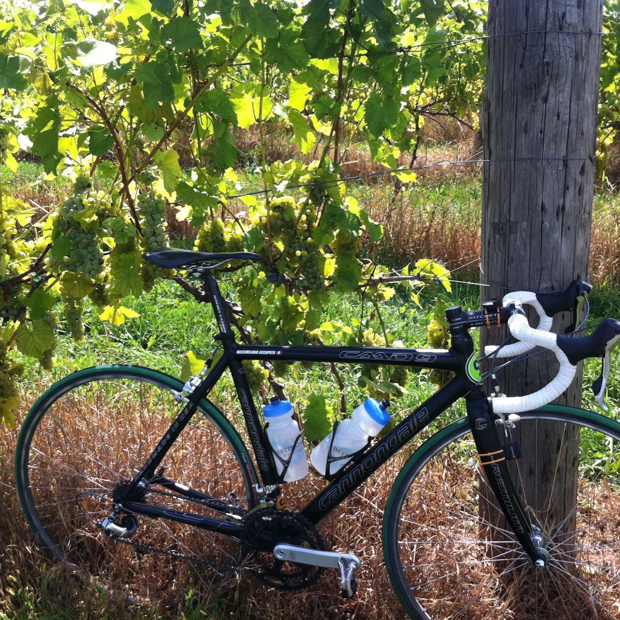 Bicycle trips based in Glastonbury CT. Private trips, European bike trips. Ask us, we'll make it happen. Come ride with us. glastonburybiketours@gmail.com