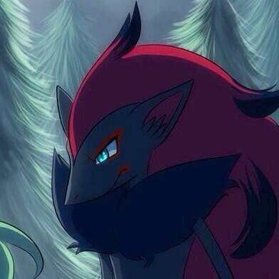 hi...I am Zora, the dark queen...my mate is @thepokemonabsol |Lv.70, female, wild|