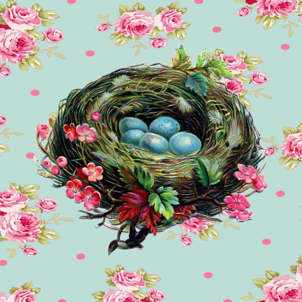 MitatCT's profile picture. “We have done so much, with so little, for so long, we are now qualified to do anything, with nothing.”