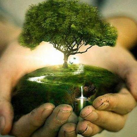 Supporting natural organic farming. Helping farmers in the Philippines and hopefully the world increase their harvest and lower their expense! Join us today!