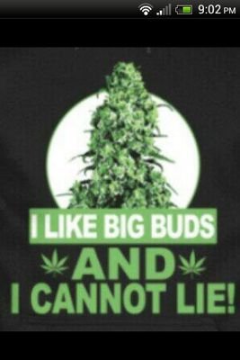 aeddan1984's profile picture. 