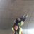 Xime_RMi's profile image