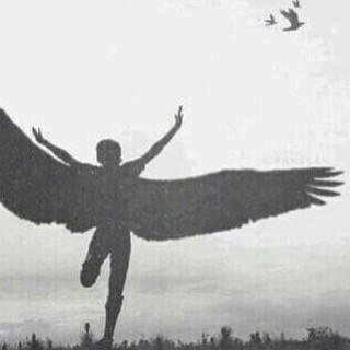 طالب ترجمة .  #اقتباسات #غرد_بصورة .