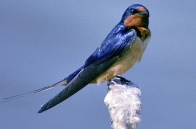 bioreccampo12's profile picture. 