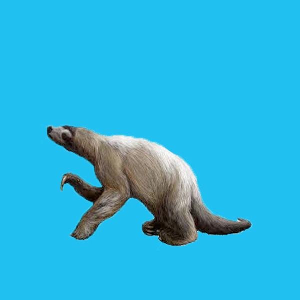 stickyalan's profile picture. Sticky Alan the sloth. I iz a faggit