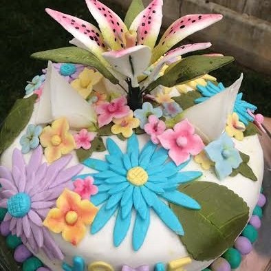 haileyscakes's profile picture. Cakes that taste as good as they look!