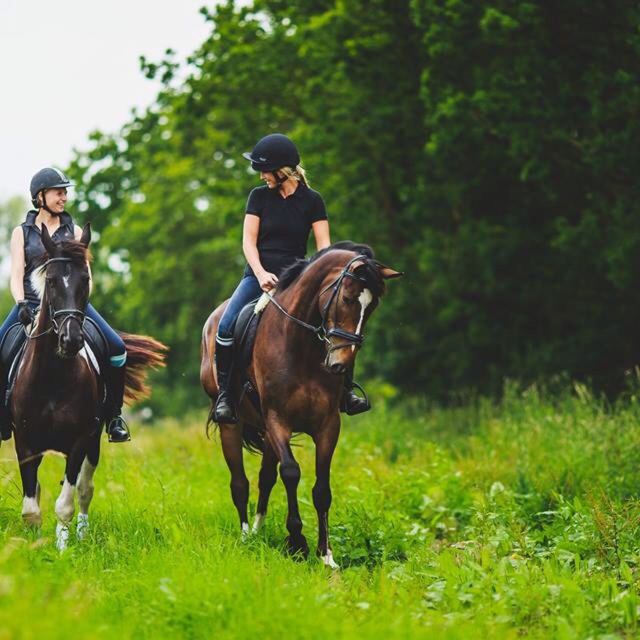 ChapelfieldFarm's profile picture. Equestrian Centre specialising in producing horses to the highest standard.  Also offering Full Livery services.