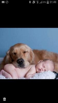 lamiabelk's profile picture. 