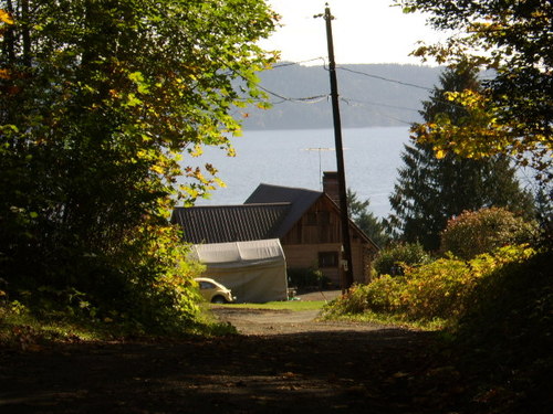 justalittlebit2's profile picture. 