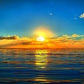 wisewordsofwsdm's profile picture. When there's nowhere to go but down dig a hole up. We try our best to impress but nothing will ever be comparable to you.