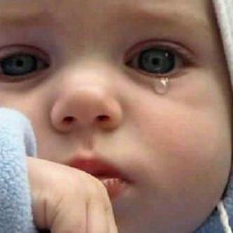 02Elprogreso's profile picture. 