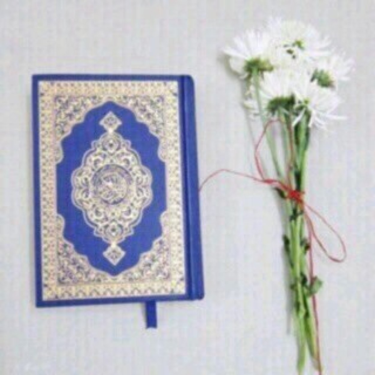 ‏استغفرالله العظيم واتوب اليه ، ربي انر قبري حين اوضع في ظلمته