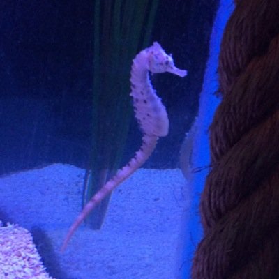 art_eastern's profile picture. Welcome to Eastern High Art Department. 
A place where pupils are encouraged to believe, achieve and succeed creatively.
Follow us to receive regular art news!