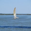 Mary Ann Wetzel - @mairblakely - Twitter