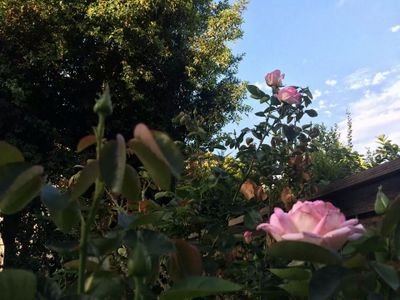 M12806112's profile picture. 