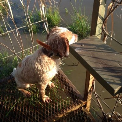 greekangler's profile picture. 