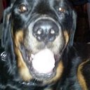 Debra Hedrick - @dhedrick018 - Twitter