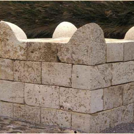 davidknoll1's profile picture. אם למדתי משהו חדש מציוץ שלך כנראה שאעקוב אחריך.   καὶ πέπορδα καὶ γελῶ