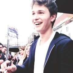 ansel elgort, will you marry me?