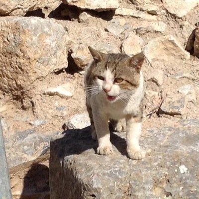 MatthewMal's profile picture. 