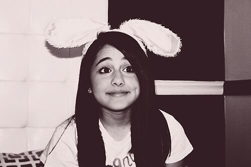 arianator and boydirectioner