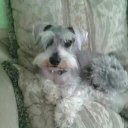 Roberto Perez (@588d0062836c457) Twitter