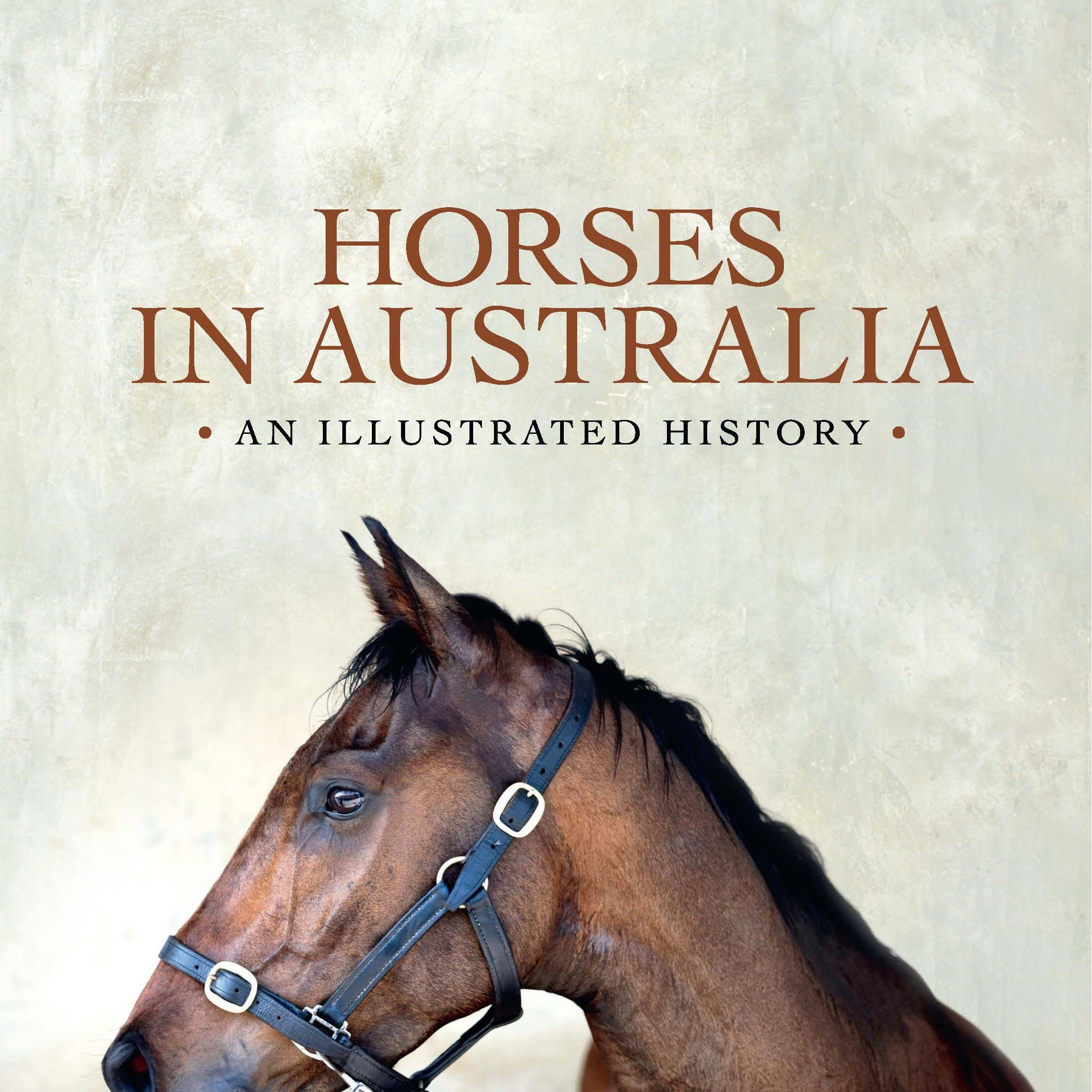 NicolasBrasch's profile picture. 