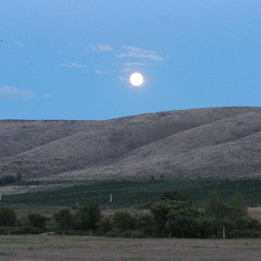 shadow8ski's profile picture. 