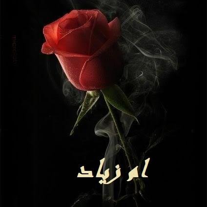 ‏ايها الحاضر تحملنا قليلا   فلسنا سوى عابرى سبيل ثقلاء الظل