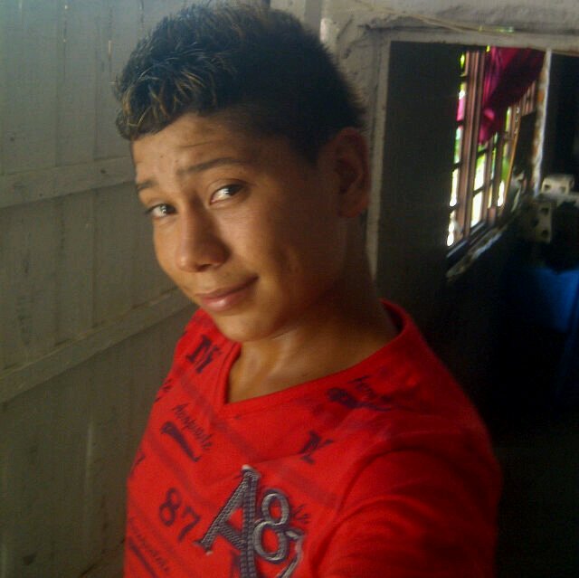 Estudiante de colejio de vqchiyeres