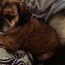 Nick Kruger - @nickkruger1313 - Twitter