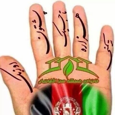 BalkhMazar's profile picture. 