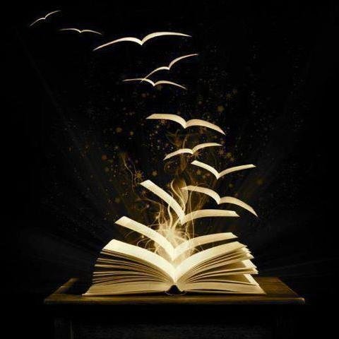 Tudo sobre a literatura!