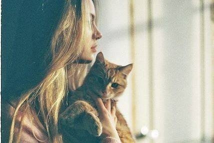 Vamos viver. A vida é curta. Mas seja firme...Enfrente a vida de cara limpa. Protejo os animais, as crianças e os idosos. Detesto falsidade.