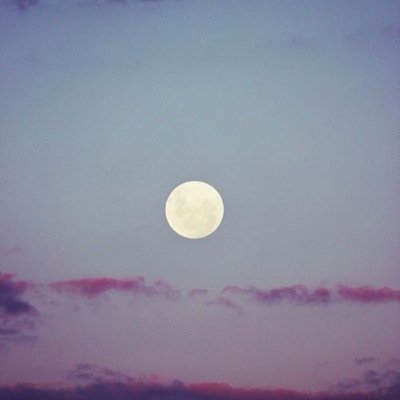 Advil_Princesss's profile picture. 