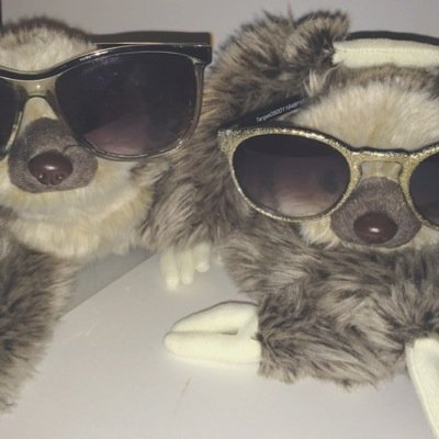 ✌️ 2 sloths, 2 girls, one big adventure ✌️ just some sloths in a human world