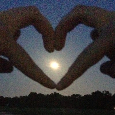 wondering_why_'s profile picture. Writing whatever comes to mind •lyrics, original poems, and almost all original pictures•