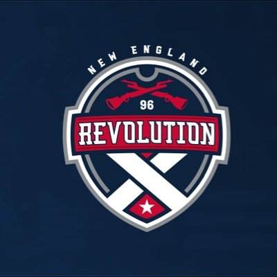 New England Revolution fan