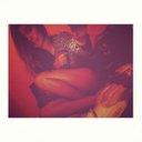 Trinity Diaz - @TrinityDiazzz - Twitter