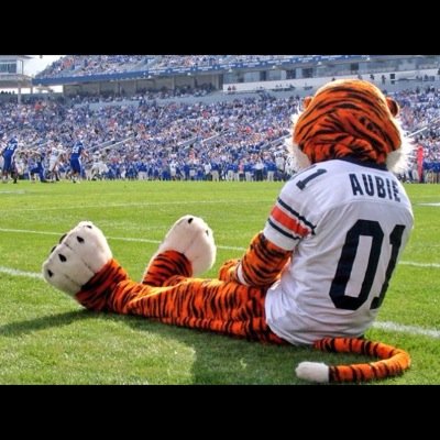 Wife, Mom of 3, proud Auburn Alumni! WDE! Isaiah 40:28-31