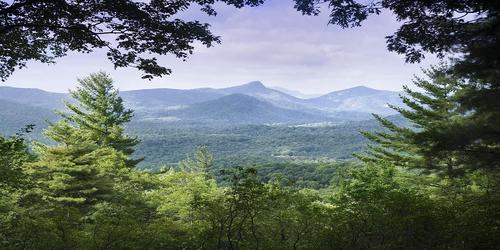 NC_Mtn_Preserve's profile picture. Luxury NC mountain real estate. High end gated community in Sapphire, NC.  NC mountain property, Preserve at Rock Creek, Cashiers, Sapphire, Lake Toxaway