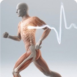 drkojianmd's profile picture. Want to explode your game performance? Do you wish to be the best in your sport? If so, head to our website, because if you're not first, you're last.