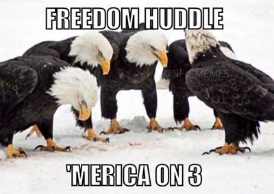 I am a red neck to the fullest and i love duck dynasty i love sweet tea i am a patriot and republican i love America i love God and coffee im a baptist