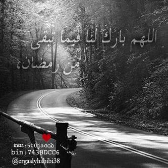 505_tarky's profile picture. 