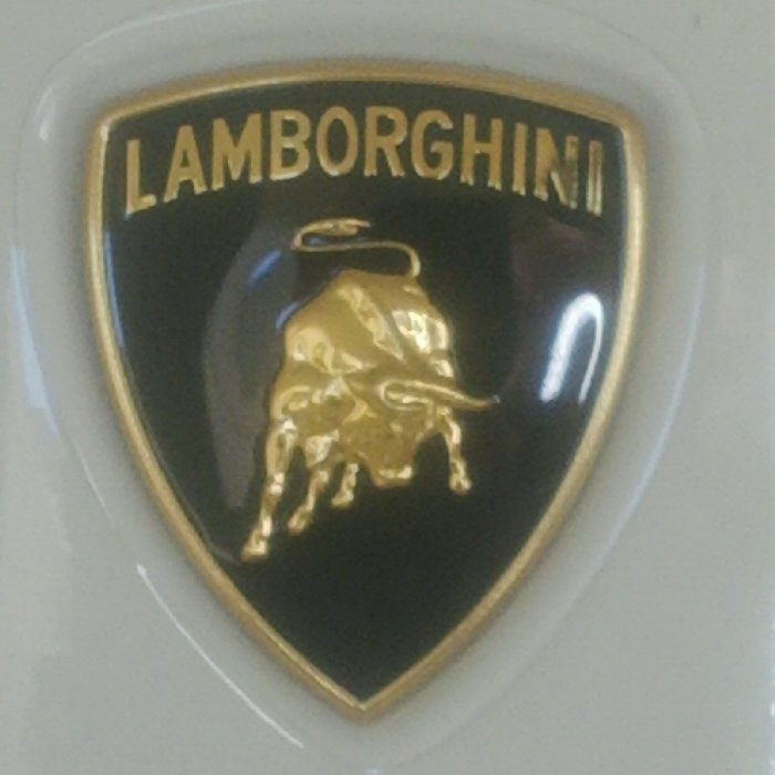 anthony77033412's profile picture. 