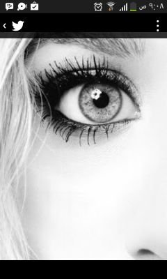 hi,, i'm sara and i'm 18 years old follow me plz