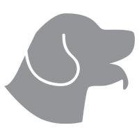 Award winning Pet Photographer based in Essex.  Capturing your pets personality with stunning photography.