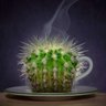 KingKaktus12345's profile picture. dégradable , cinéphile fou , dompteur de cactus surtout